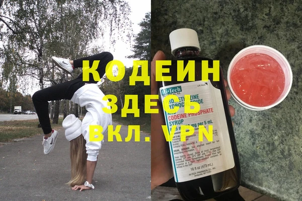 дмт Арсеньев