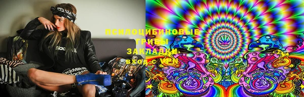 дмт Арсеньев