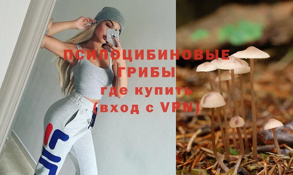 Альфа ПВП Аркадак