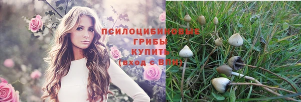 2c-b Новокубанск