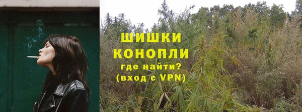 дмт Арсеньев