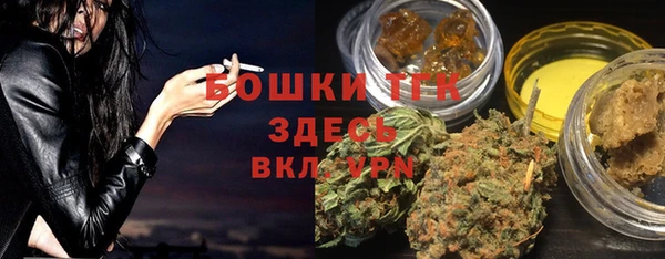 Альфа ПВП Аркадак