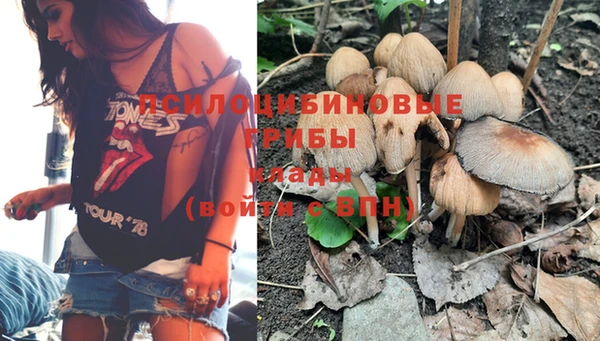 дмт Арсеньев