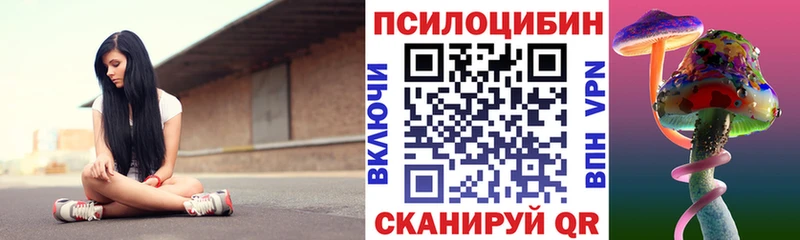 Псилоцибиновые грибы Psilocybe Калтан